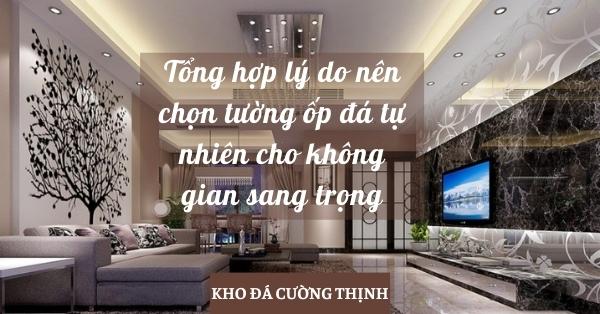 Tong-hop-ly-do-nen-chon-tuong-op-da-tu-nhien-cho-khong-gian-sang-trong